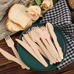 Biodegradable Cutlery